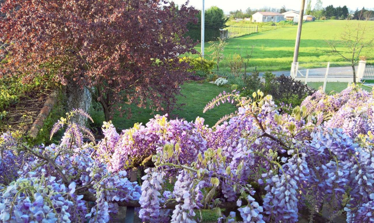 Les Glycines Bed & Breakfast Eymet Esterno foto